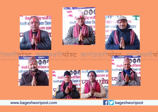 गौडेल समूहका पदाधिकारी उम्मेदवारहरुको यस्तो छ राजनीतिक बायोग्राफी